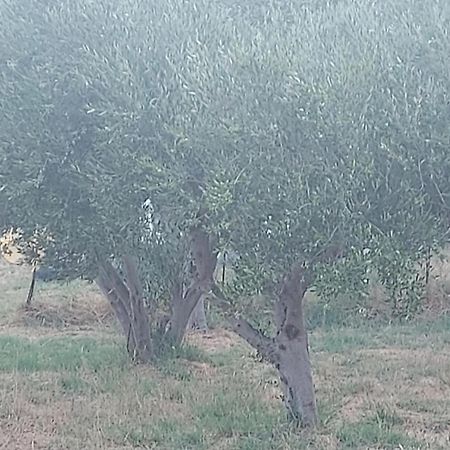 Principessa Telendos Villa Kalymnos Town Ngoại thất bức ảnh