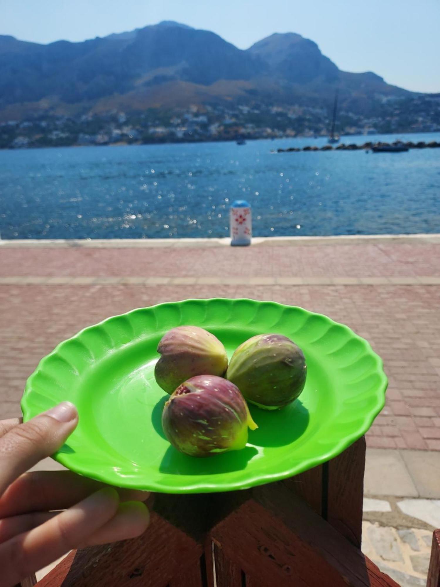Principessa Telendos Villa Kalymnos Town Ngoại thất bức ảnh